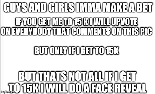 LETS GOOOOO | GUYS AND GIRLS IMMA MAKE A BET; IF YOU GET ME TO 15 K I WILL UPVOTE ON EVERYBODY THAT COMMENTS ON THIS PIC; BUT ONLY IF I GET TO 15K; BUT THATS NOT ALL IF I GET TO 15K I WILL DO A FACE REVEAL | image tagged in bet,memes | made w/ Imgflip meme maker