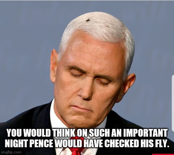 Fly on Pence | YOU WOULD THINK ON SUCH AN IMPORTANT NIGHT PENCE WOULD HAVE CHECKED HIS FLY. | image tagged in fly,pence,mike pence | made w/ Imgflip meme maker