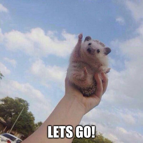 lets go | LETS GO! | image tagged in lets go | made w/ Imgflip meme maker