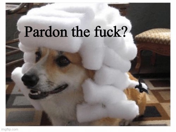 pardon dog | Pardon the fuck? | image tagged in pardon dog | made w/ Imgflip meme maker