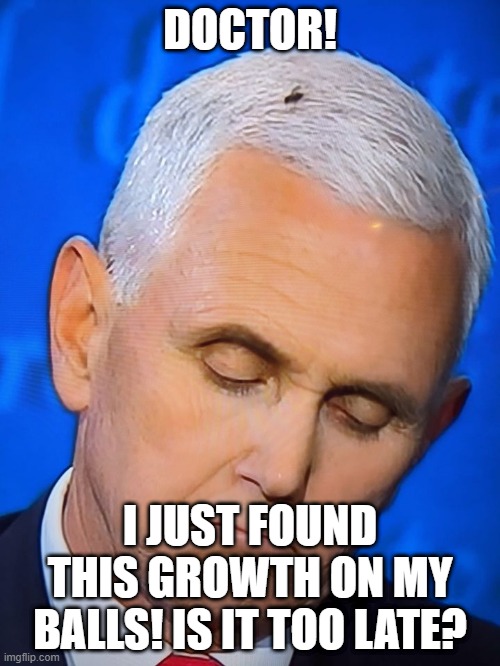 Pence Fly Balls | DOCTOR! I JUST FOUND THIS GROWTH ON MY BALLS! IS IT TOO LATE? | image tagged in mike pence,fly,balls,debate,candidates | made w/ Imgflip meme maker