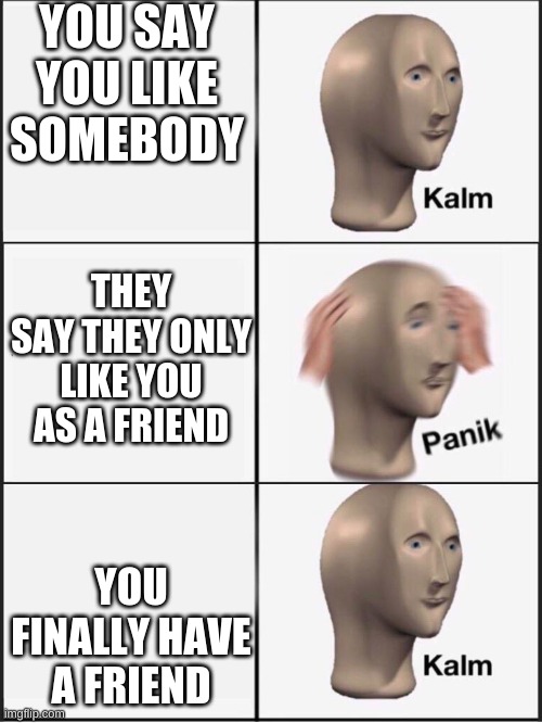 I have too many true storys | YOU SAY YOU LIKE SOMEBODY; THEY SAY THEY ONLY LIKE YOU AS A FRIEND; YOU FINALLY HAVE A FRIEND | image tagged in kalm panik kalm | made w/ Imgflip meme maker