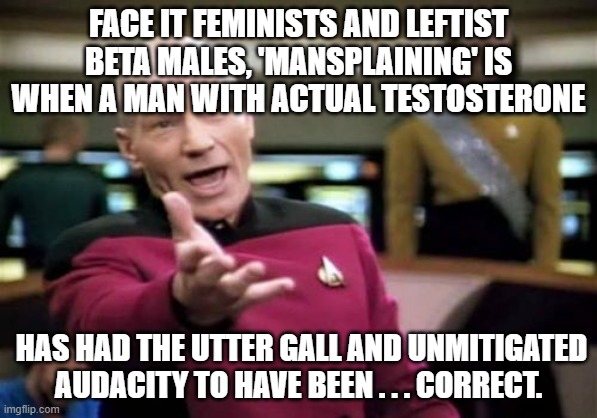 Picard Wtf | FACE IT FEMINISTS AND LEFTIST BETA MALES, 'MANSPLAINING' IS WHEN A MAN WITH ACTUAL TESTOSTERONE; HAS HAD THE UTTER GALL AND UNMITIGATED AUDACITY TO HAVE BEEN . . . CORRECT. | image tagged in memes,picard wtf | made w/ Imgflip meme maker
