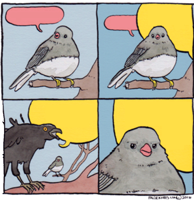 The annoyed bird Blank Meme Template