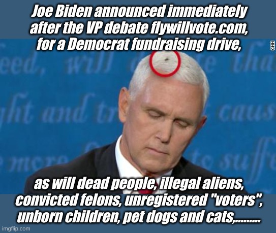 Hmmm, kind of reminds me of a documentary film by John and Yoko Ono..... no, I guess it doesn't really......... | Joe Biden announced immediately after the VP debate flywillvote.com, for a Democrat fundraising drive, as will dead people, illegal aliens, convicted felons, unregistered "voters", unborn children, pet dogs and cats,......... | image tagged in pence on the fly,democrat fraud | made w/ Imgflip meme maker