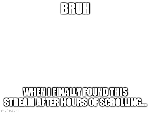 finally found it lol | BRUH; WHEN I FINALLY FOUND THIS STREAM AFTER HOURS OF SCROLLING... | image tagged in blank white template | made w/ Imgflip meme maker