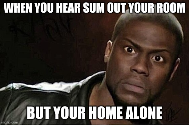 Kevin Hart Meme | WHEN YOU HEAR SUM OUT YOUR ROOM; BUT YOUR HOME ALONE | image tagged in memes,kevin hart | made w/ Imgflip meme maker