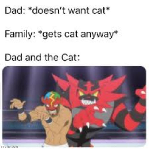 image tagged in dad and the cat | made w/ Imgflip meme maker
