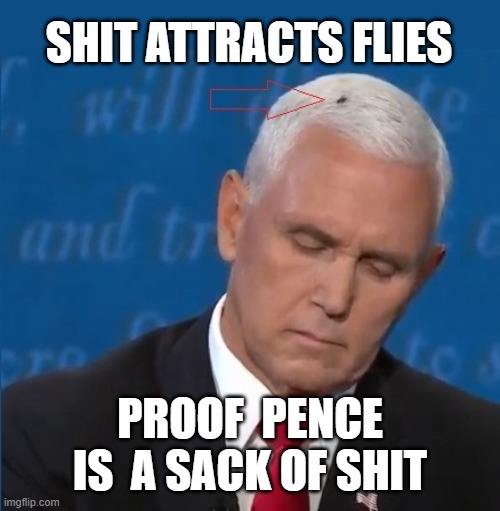 Black Flies Matter | SHIT ATTRACTS FLIES; PROOF  PENCE IS  A SACK OF SHIT | image tagged in black flies matter,bullshit,stench,shithead,pence,liar | made w/ Imgflip meme maker