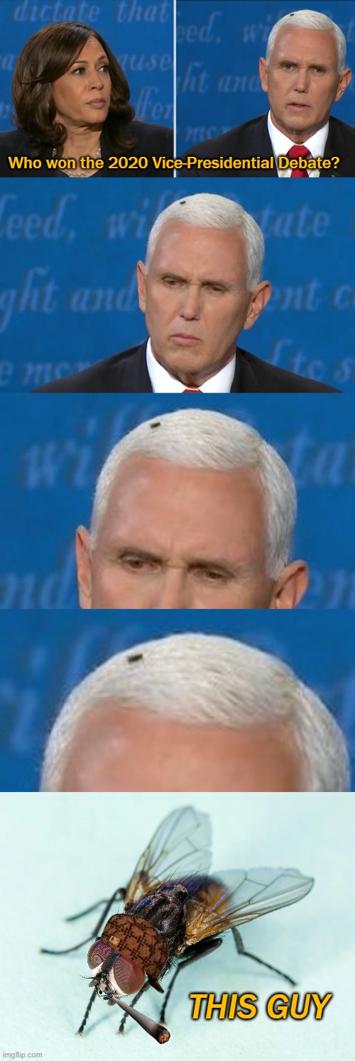 Who won the 2020 Vice-Presidential Debate? THIS GUY | image tagged in mike pence,kamala harris,mike pence fly,presidential debate,for god's sake get the fly it's been there for an eternity | made w/ Imgflip meme maker