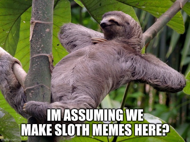 Lazy Sloth | IM ASSUMING WE MAKE SLOTH MEMES HERE? | image tagged in lazy sloth | made w/ Imgflip meme maker