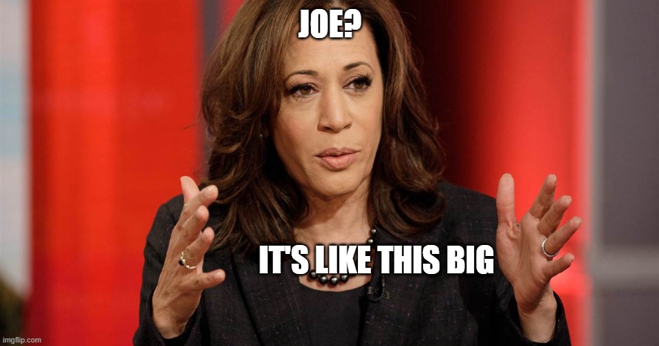 kamala | JOE? IT'S LIKE THIS BIG | image tagged in political meme | made w/ Imgflip meme maker