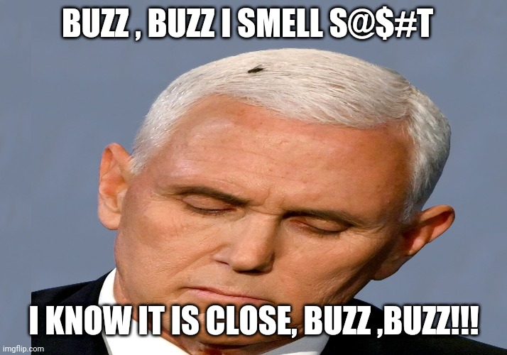 Fly is smelling crap | BUZZ , BUZZ I SMELL S@$#T; I KNOW IT IS CLOSE, BUZZ ,BUZZ!!! | image tagged in mike pence,kamala harris,2020 elections,trump supporters,joe biden | made w/ Imgflip meme maker