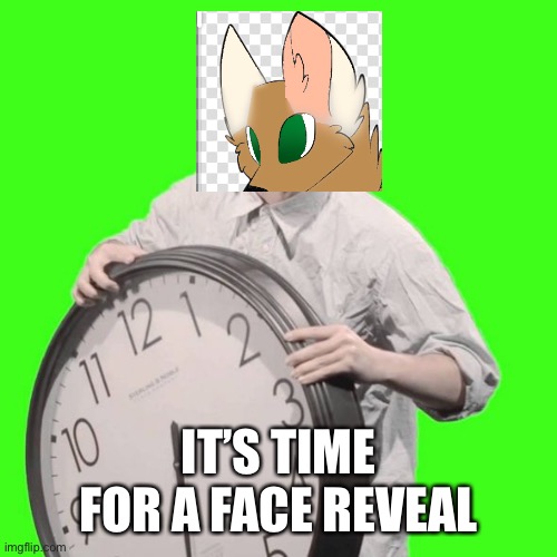 In the comments | IT’S TIME FOR A FACE REVEAL | image tagged in it's time to stop | made w/ Imgflip meme maker