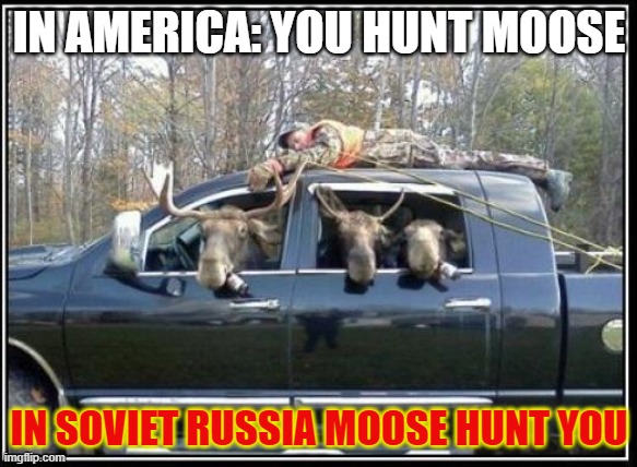 in soviet Russia mooses | IN AMERICA: YOU HUNT MOOSE; IN SOVIET RUSSIA MOOSE HUNT YOU | image tagged in in soviet russia mooses | made w/ Imgflip meme maker