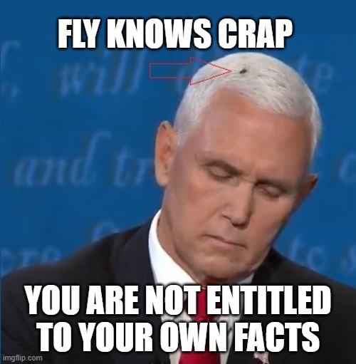 Pence FAILS Fact Check with his OUTRAGEOUS LIES | FLY KNOWS CRAP; YOU ARE NOT ENTITLED TO YOUR OWN FACTS | image tagged in liar,hypocrite,ass-kisser,full of shit,shitbag,black flies matter | made w/ Imgflip meme maker