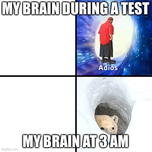 Adios Bonjour | MY BRAIN DURING A TEST; MY BRAIN AT 3 AM | image tagged in adios bonjour | made w/ Imgflip meme maker