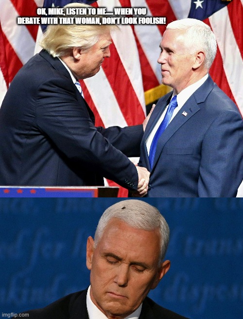 OK, MIKE, LISTEN TO ME..... WHEN YOU DEBATE WITH THAT WOMAN, DON'T LOOK FOOLISH! | image tagged in mike pence,fly | made w/ Imgflip meme maker