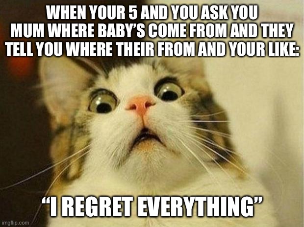 Scared Cat | WHEN YOUR 5 AND YOU ASK YOU MUM WHERE BABY’S COME FROM AND THEY TELL YOU WHERE THEIR FROM AND YOUR LIKE:; “I REGRET EVERYTHING” | image tagged in memes,scared cat | made w/ Imgflip meme maker