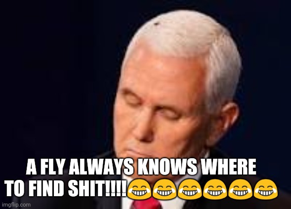 ShitHead | A FLY ALWAYS KNOWS WHERE TO FIND SHIT!!!!😂😂😂😂😂😂 | image tagged in mike pence | made w/ Imgflip meme maker