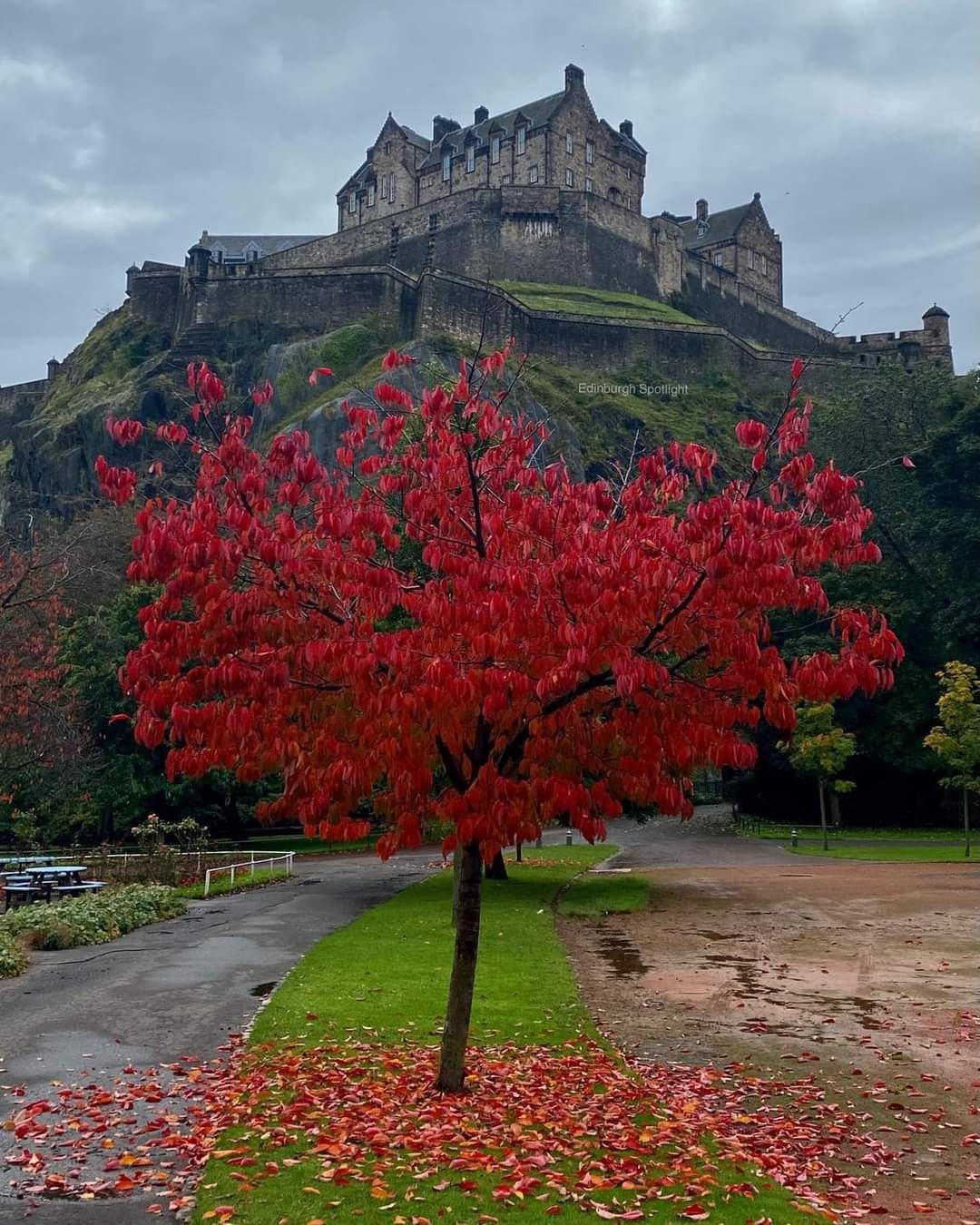 High Quality Edinburgh castle Blank Meme Template