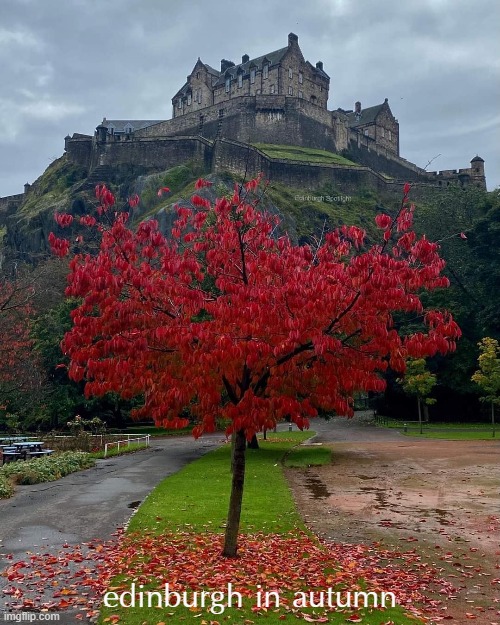 [Edinburgh: Capital of Scotland, one of the 4 countries of the UK] | edinburgh in autumn | image tagged in edinburgh castle,scotland,fall,autumn leaves,leaves,castle | made w/ Imgflip meme maker