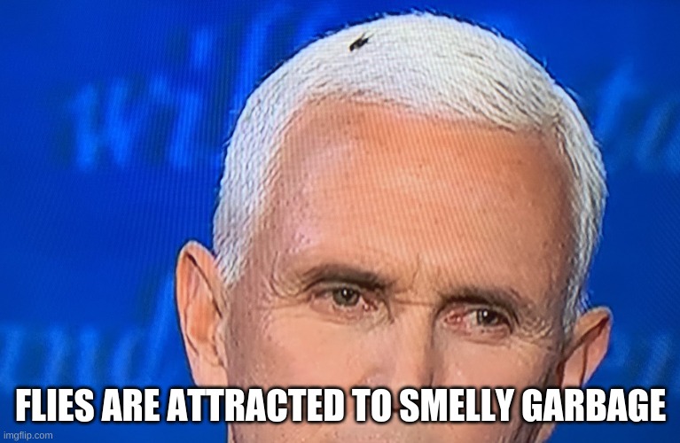 Pence Fly | FLIES ARE ATTRACTED TO SMELLY GARBAGE | image tagged in pence fly | made w/ Imgflip meme maker