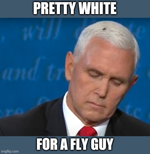 Pretty fly for a white guy | PRETTY WHITE; FOR A FLY GUY | image tagged in pence fly | made w/ Imgflip meme maker