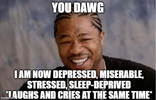 Yo Dawg Heard You Meme | YOU DAWG; I AM NOW DEPRESSED, MISERABLE, STRESSED, SLEEP-DEPRIVED
*LAUGHS AND CRIES AT THE SAME TIME* | image tagged in memes,yo dawg heard you | made w/ Imgflip meme maker