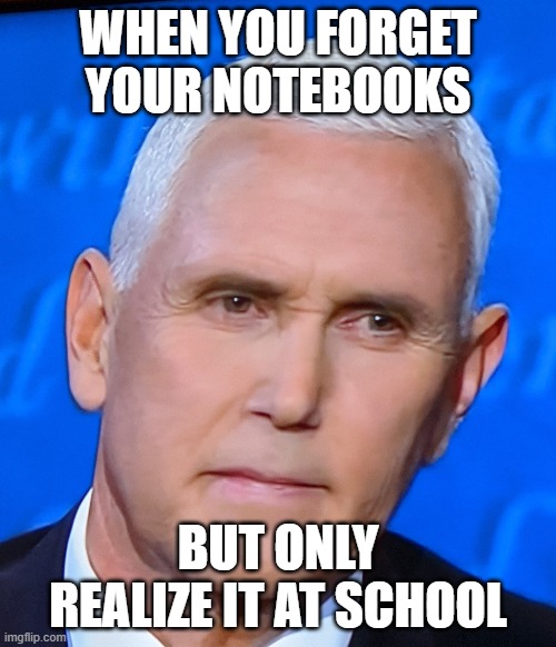 Mike Pence Fly | WHEN YOU FORGET YOUR NOTEBOOKS; BUT ONLY REALIZE IT AT SCHOOL | image tagged in mike pence fly | made w/ Imgflip meme maker