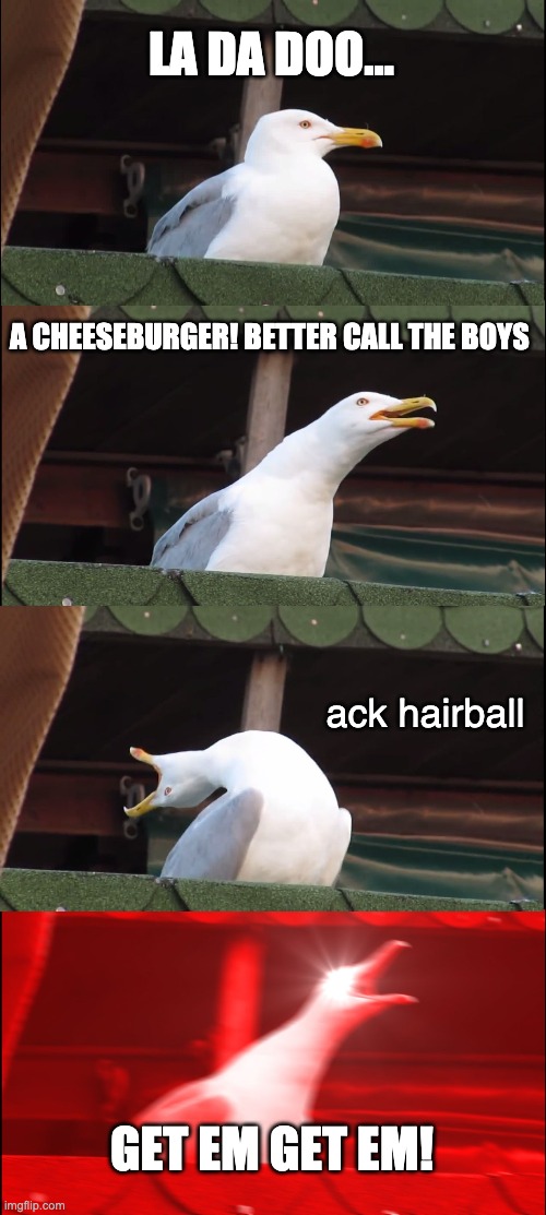 yum | LA DA DOO... A CHEESEBURGER! BETTER CALL THE BOYS; ack hairball; GET EM GET EM! | image tagged in memes,inhaling seagull | made w/ Imgflip meme maker