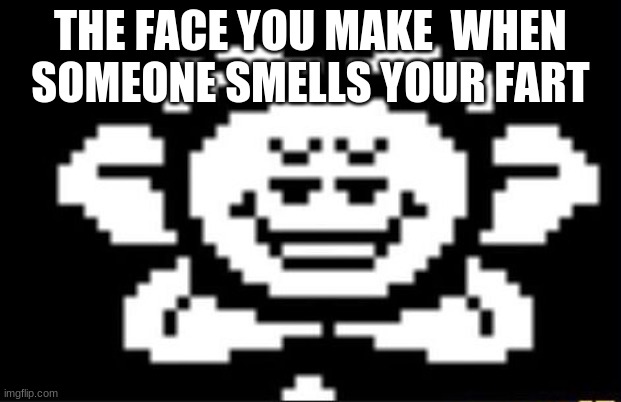 flowey the flower | THE FACE YOU MAKE  WHEN SOMEONE SMELLS YOUR FART | image tagged in flowey the flower | made w/ Imgflip meme maker