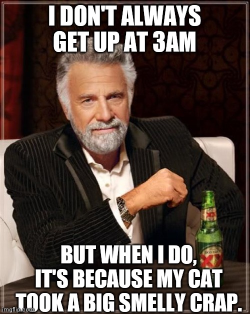 Cats | I DON'T ALWAYS GET UP AT 3AM; BUT WHEN I DO, IT'S BECAUSE MY CAT
 TOOK A BIG SMELLY CRAP. | image tagged in memes,the most interesting man in the world | made w/ Imgflip meme maker