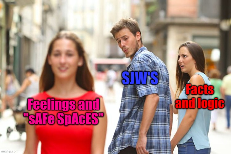 And the worst is : they will probably never change... | SJW'S; Facts and logic; Feelings and "sAFe SpAcES" | image tagged in memes,distracted boyfriend,sjw,facts,logic,safe space | made w/ Imgflip meme maker