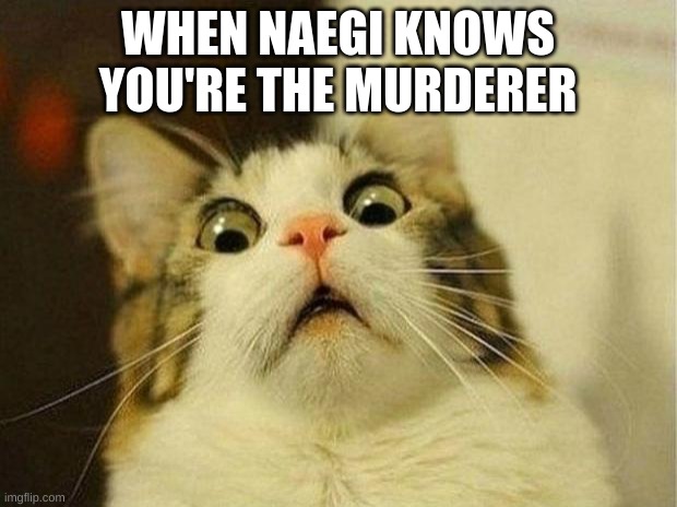 naegi | WHEN NAEGI KNOWS YOU'RE THE MURDERER | image tagged in memes,scared cat | made w/ Imgflip meme maker