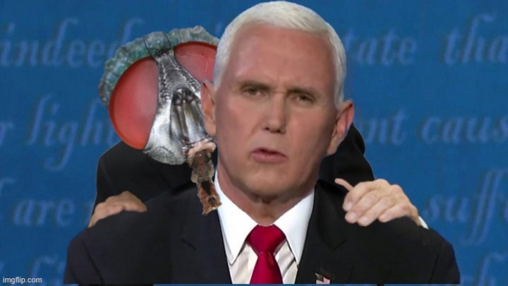 Return of the Fly | image tagged in mike pence,vice president,the fly | made w/ Imgflip meme maker