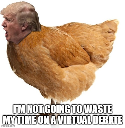 Trump chicken | I'M NOT GOING TO WASTE MY TIME ON A VIRTUAL DEBATE | image tagged in trump sucks | made w/ Imgflip meme maker