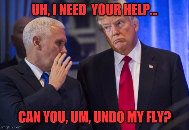 Trump Pence | UH, I NEED  YOUR HELP... CAN YOU, UM, UNDO MY FLY? | image tagged in trump pence | made w/ Imgflip meme maker