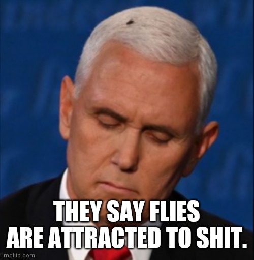 Pence McFly | THEY SAY FLIES ARE ATTRACTED TO SHIT. | image tagged in mike pence,anti trump meme,political humor,political memes | made w/ Imgflip meme maker