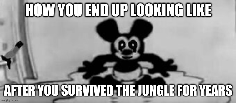 The crazefull bunny | HOW YOU END UP LOOKING LIKE; AFTER YOU SURVIVED THE JUNGLE FOR YEARS | image tagged in disney,bunny | made w/ Imgflip meme maker