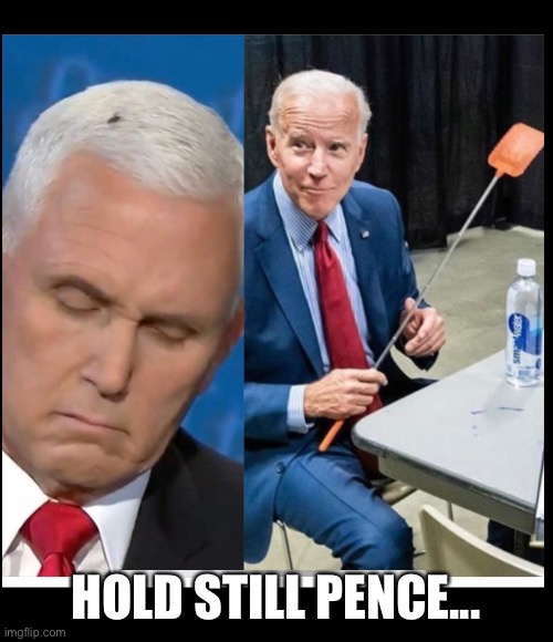 Fly on Pence | HOLD STILL PENCE... | image tagged in fly | made w/ Imgflip meme maker