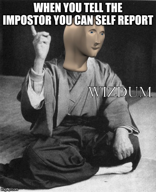 PURE WIZDUM | WHEN YOU TELL THE IMPOSTOR YOU CAN SELF REPORT | image tagged in wizdum | made w/ Imgflip meme maker