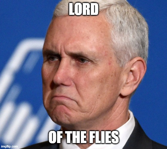lord of the flies | LORD; OF THE FLIES | image tagged in mike pence,fly,mike pence vp,debate | made w/ Imgflip meme maker