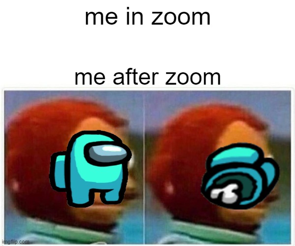 zoom | me in zoom; me after zoom | image tagged in memes,monkey puppet | made w/ Imgflip meme maker