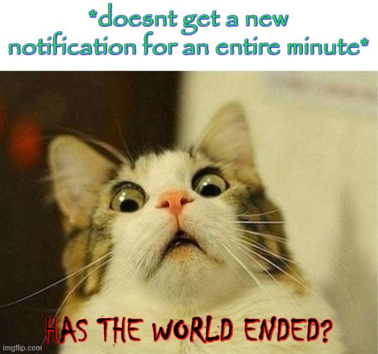 ye | *doesnt get a new notification for an entire minute*; HAS THE WORLD ENDED? | image tagged in memes,scared cat,notifications | made w/ Imgflip meme maker