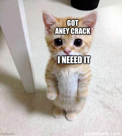 Cute Cat | GOT ANEY CRACK; I NEEED IT | image tagged in memes,cute cat | made w/ Imgflip meme maker