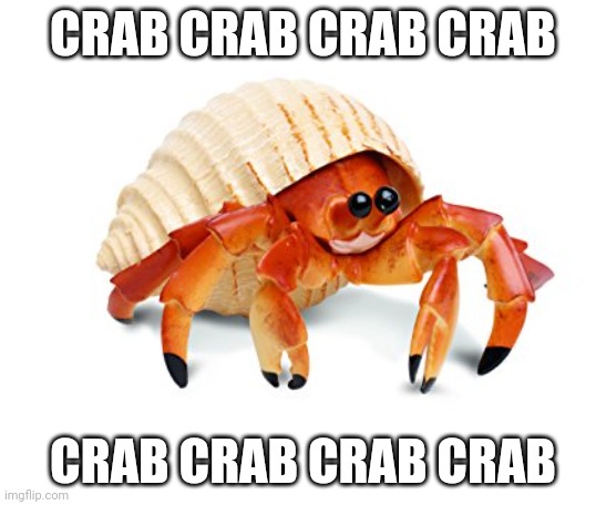 Hermit crab | CRAB CRAB CRAB CRAB; CRAB CRAB CRAB CRAB | image tagged in hermit crab | made w/ Imgflip meme maker