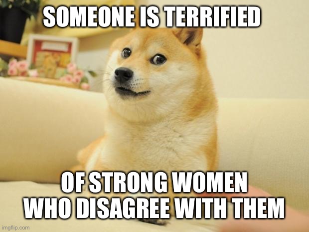 Doge 2 Meme | SOMEONE IS TERRIFIED OF STRONG WOMEN WHO DISAGREE WITH THEM | image tagged in memes,doge 2 | made w/ Imgflip meme maker