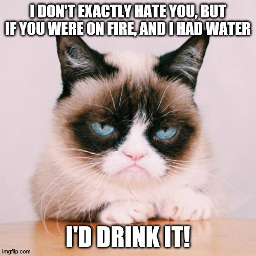 Grumpy Cat I don't excatly hate you | I DON'T EXACTLY HATE YOU, BUT IF YOU WERE ON FIRE, AND I HAD WATER; I'D DRINK IT! | image tagged in grumpy cat again | made w/ Imgflip meme maker