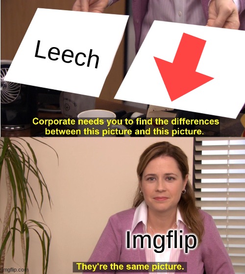 If you downvote a meme you get a point and they lose a point | Leech; Imgflip | image tagged in memes,they're the same picture | made w/ Imgflip meme maker